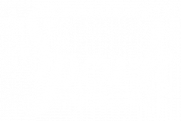 spork-logo-large-light